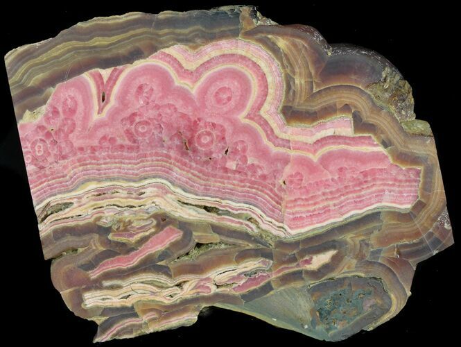 Rhodochrosite Stalactite Slice - Argentina #61723